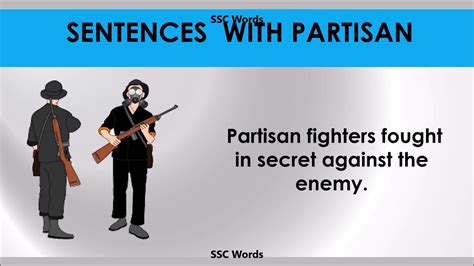 partisan meaning in english